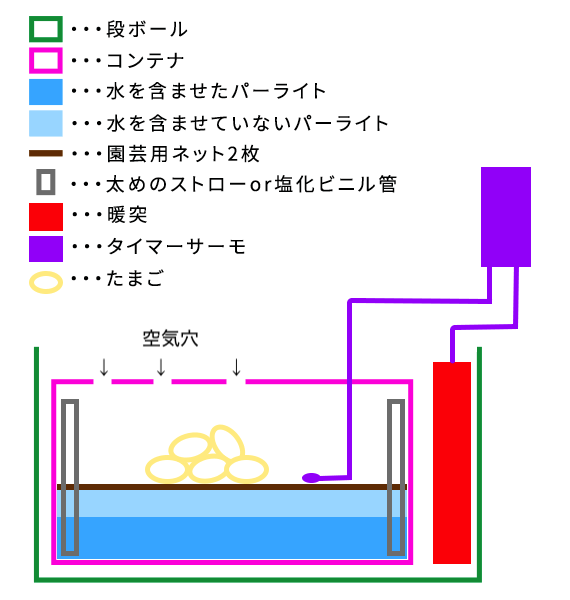 初めてのボールパイソン繁殖日記 孵化から餌付けまで Coding Memo