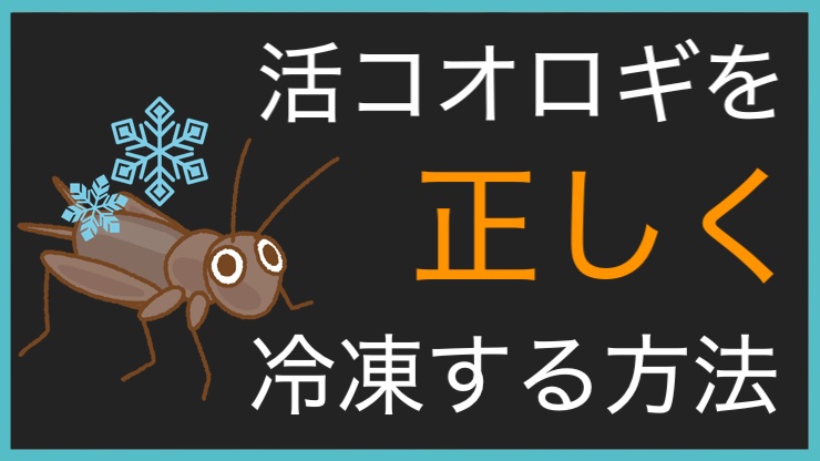 活コオロギを正しく冷凍する方法 Coding Memo